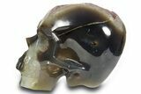 Realistic Polished Agate Skull with Amethyst Crystal Pocket #378637-5
